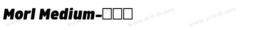 Morl Medium字体转换